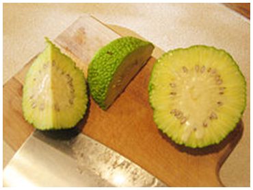 Osage-orange-1