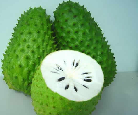 soursop-cancer-fruit